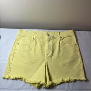 Loft Women’s Shorts
